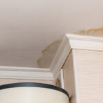 water damage cleanup charlotte
